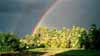 '99 garden and rainbow