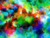 wildflower1
