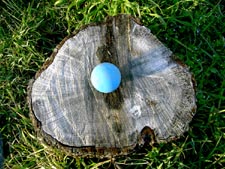ball on stump - go figger